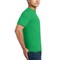 Gildan Heavy Cotton T-Shirt, Crewneck Blank Tees for Crafting